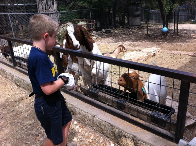 2012-04-09-18-Austin Zoo with Ian.jpg